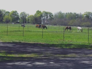 Lots of Turn out